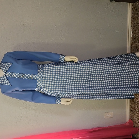 VTG JENNIFER GEE 1970s Baby Blue and White Gingham Long Sleeve Maxi Dress - Picture 3 of 11